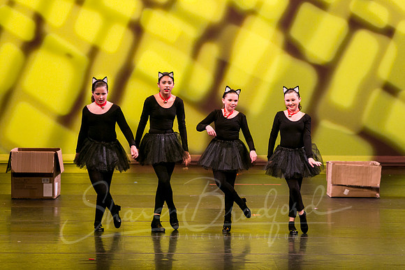 Feline Beat-2553