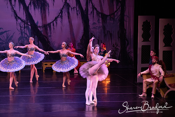 TDC La Bayadere pc Sharen Bradford-3154