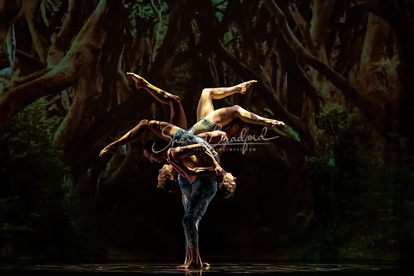 MOMIX Alice pc Sharen Bradford-0974