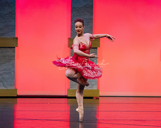Ballet NTX Sleeping Beauty pc Sharen Bradford-0151