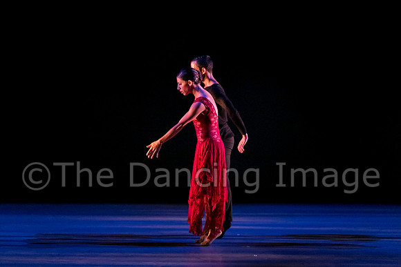 Chado Danse-2802