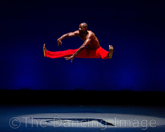 Alvin Ailey ADT-0089