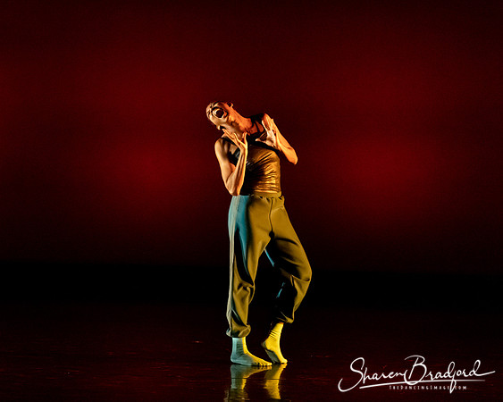 Snap pc Sharen Bradford-0358