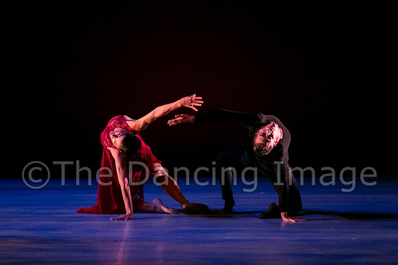 Chado Danse-2829