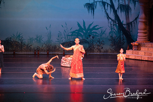 TDC La Bayadere pc Sharen Bradford-2420