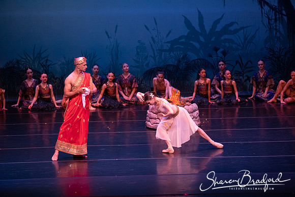 TDC La Bayadere pc Sharen Bradford-2516