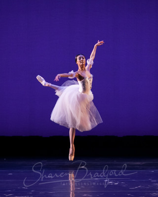 GISELLE TITAS CP 2015-1014