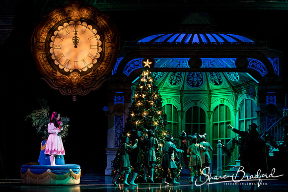 Nutcracker matinee pc Sharen Bradford-4754