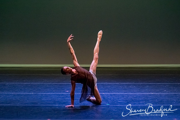 Ballet Dallas Seasons pc Sharen Bradford-1568