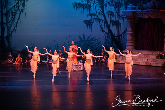 TDC La Bayadere pc Sharen Bradford-2475