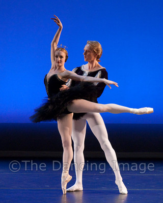 Black Swan-1123