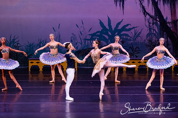TDC La Bayadere pc Sharen Bradford-3132