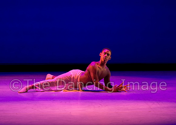 Jared Brown-4822