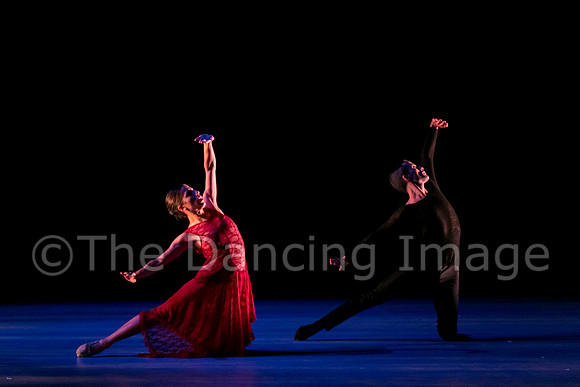 Chado Danse-2810