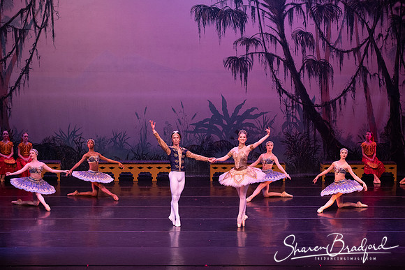 TDC La Bayadere pc Sharen Bradford-3194