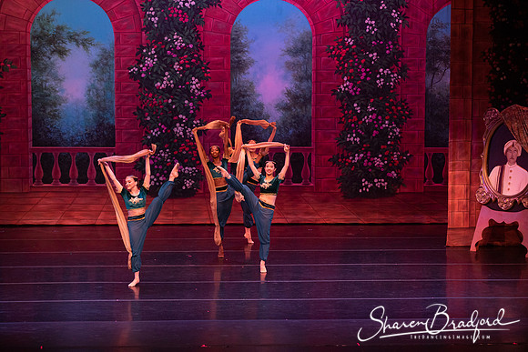 TDC La Bayadere pc Sharen Bradford-2735