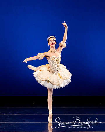 Texas Ballet Theater pc Sharen Bradford-1319