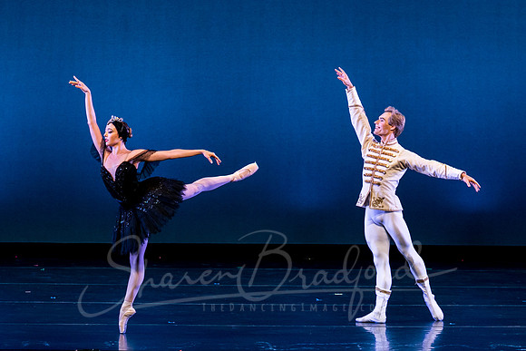 Texas Ballet Theater pc Sharen Bradford-1485