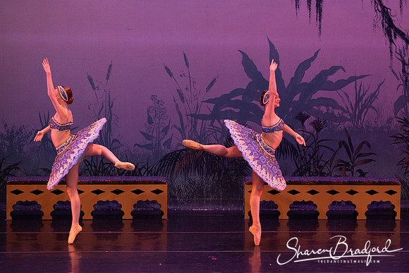 TDC La Bayadere pc Sharen Bradford-2932