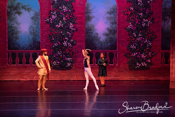 TDC La Bayadere pc Sharen Bradford-2667