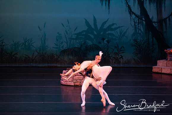 TDC La Bayadere pc Sharen Bradford-2597