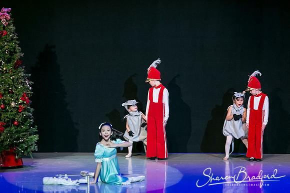 Rockefeller Christmas 1 pc Sharen Bradford-5700