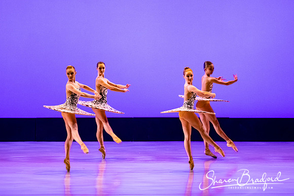 Ballet 37 pc Sharen Bradford-0346
