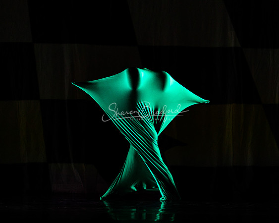 MOMIX Alice pc Sharen Bradford-1049