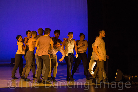 Coalescence in Progress-3264