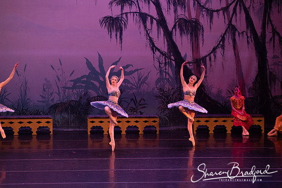 TDC La Bayadere pc Sharen Bradford-3079