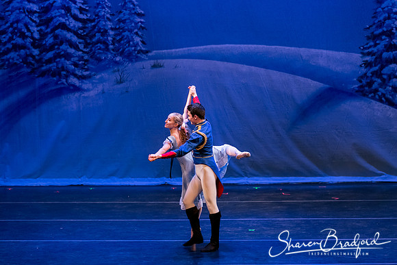 Snow Scene pc Sharen Bradford-0861