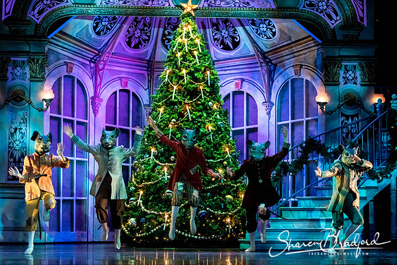 Nutcracker dress pc Sharen Bradford-3105