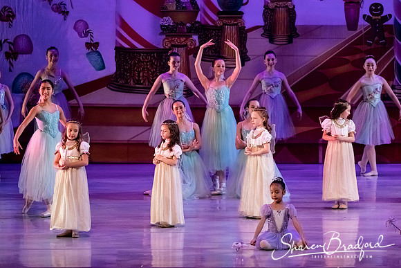 CCBT Nutcracker 19 pc Sharen Bradford-5339
