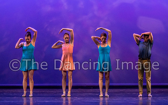 Through the Storm-6180
