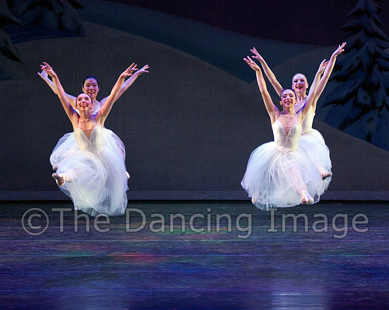 Snow Jete 3205-