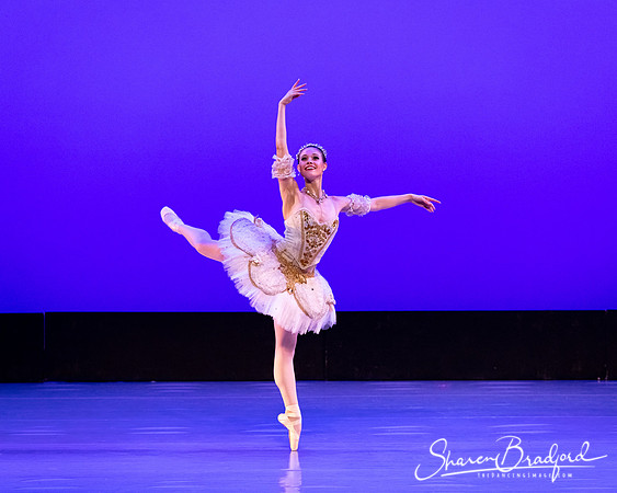 TBT Sleeping Beauty Pas pc Sharen Bradford-1523