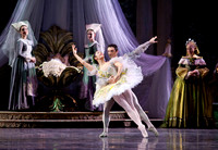 TB Sleeping Beauty Wed.-0019