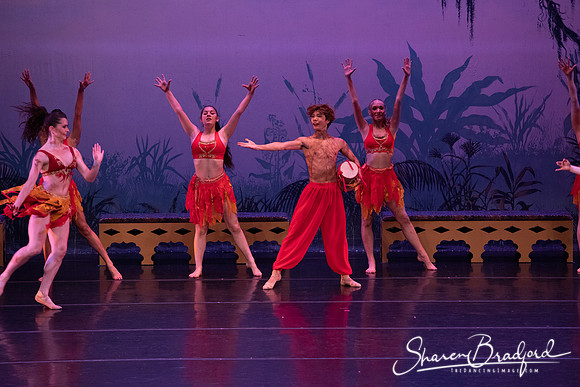 TDC La Bayadere pc Sharen Bradford-3035