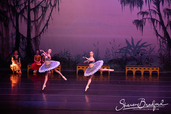 TDC La Bayadere pc Sharen Bradford-3058