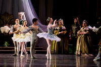 TB Sleeping Beauty Wed.-0025