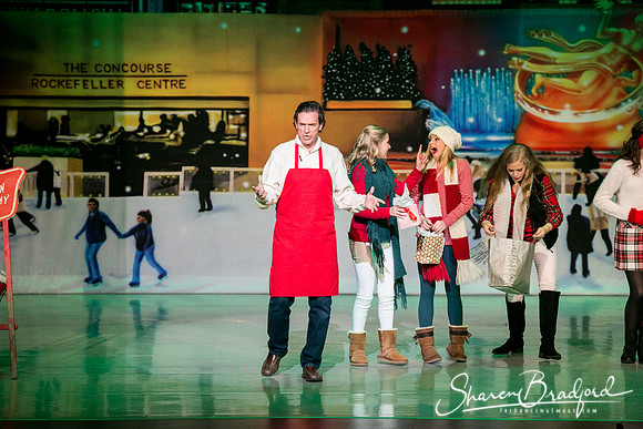 Rockefeller Christmas 1 pc Sharen Bradford-4927