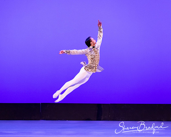 TBT Sleeping Beauty Pas pc Sharen Bradford-1559