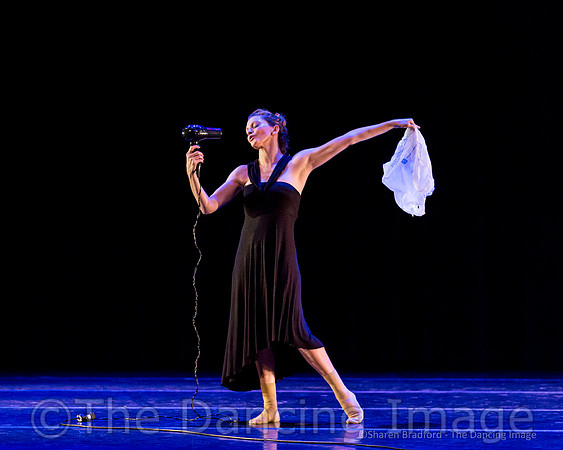 American Beauty-2835