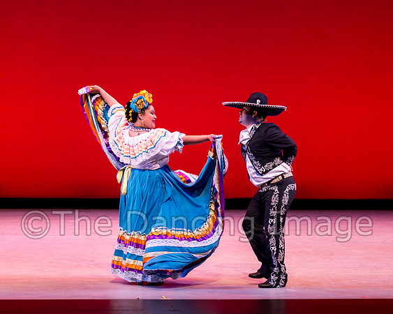 Mosaic Dance Project-0377