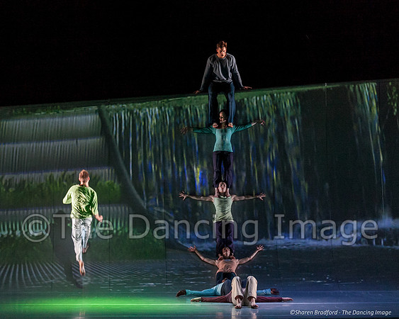 Motionhouse SCATTERED-0395