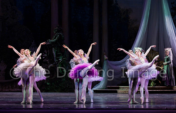 TB Sleeping Beauty Wed.-0132