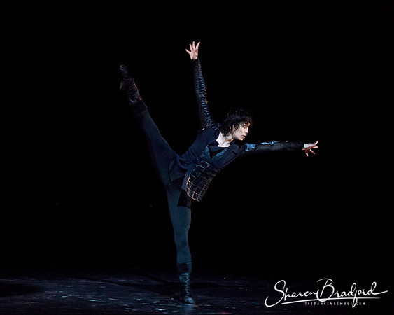 Beijing Dance Theater pc Sharen Bradford-0044