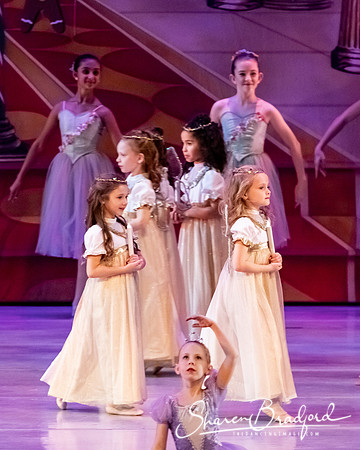 CCBT Nutcracker 19 pc Sharen Bradford-5330