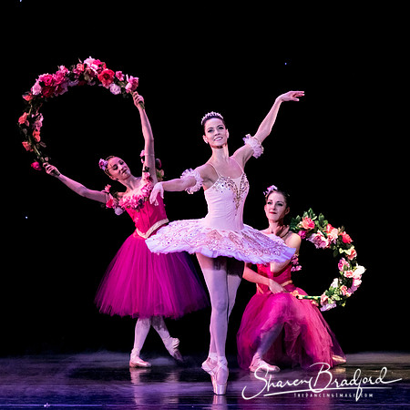 Nutcracker matinee pc Sharen Bradford-5331
