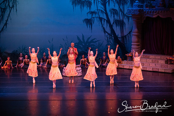 TDC La Bayadere pc Sharen Bradford-2473